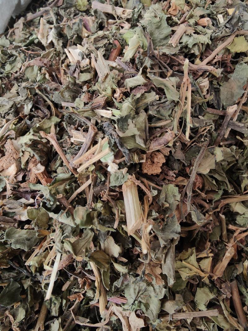 新货败酱草野生黄花败酱草颜色青绿全国发货