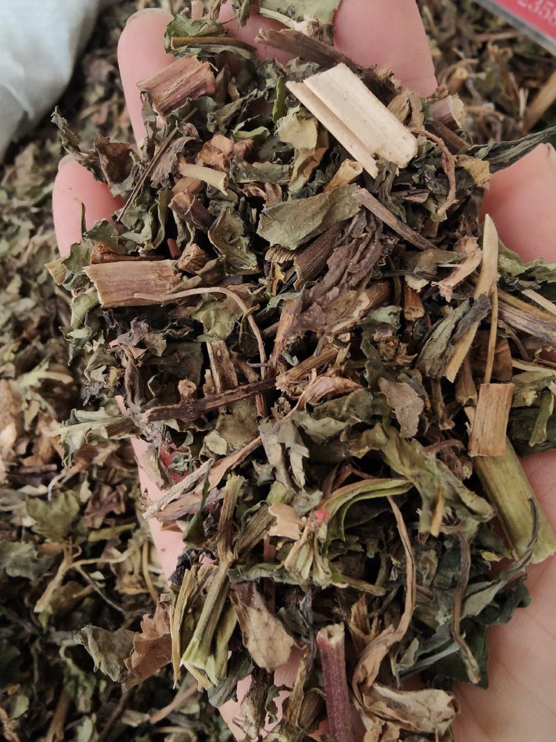 新货败酱草野生黄花败酱草颜色青绿全国发货