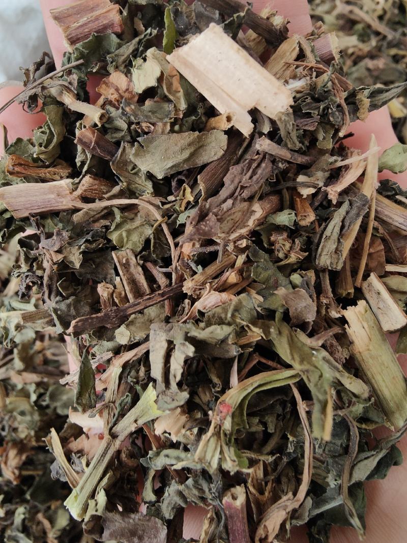 新货败酱草野生黄花败酱草颜色青绿全国发货