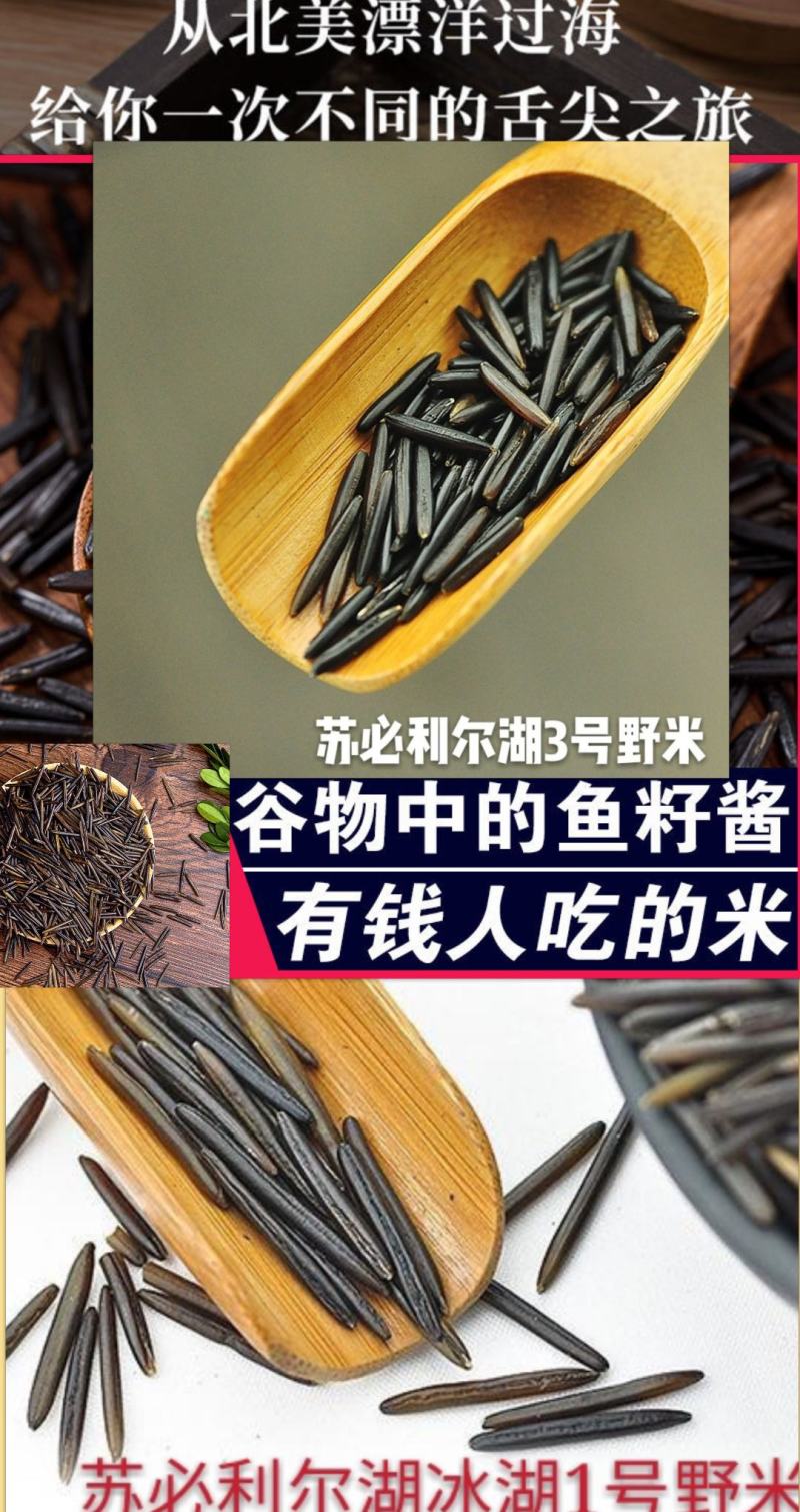 米进口米珍稀大米米中的鱼子酱养生米进口米454克一袋包邮