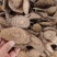 中药材麻骨风买麻藤