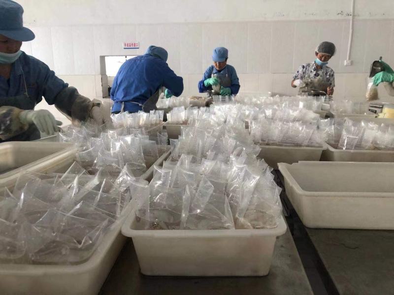 海蜇丝桶装盐渍花丝微商电商团购爆品大批入口有量有价不包邮