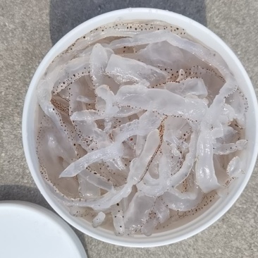 海蜇丝桶装盐渍花丝微商电商团购爆品大批入口有量有价不包邮