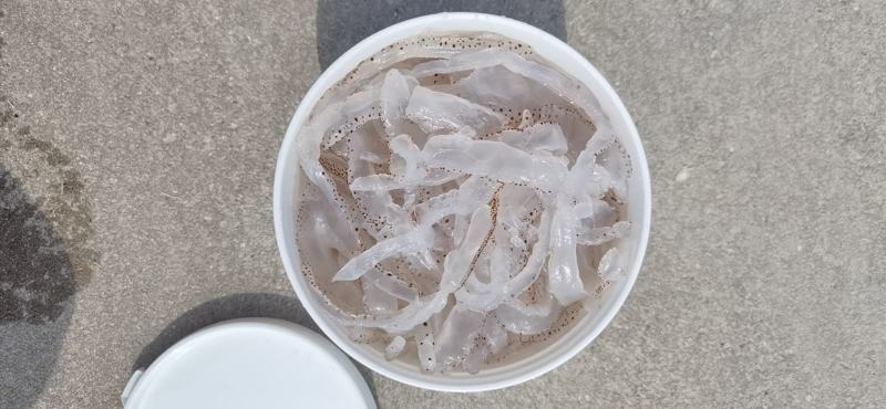 海蜇丝桶装盐渍花丝微商电商团购爆品大批入口有量有价不包邮