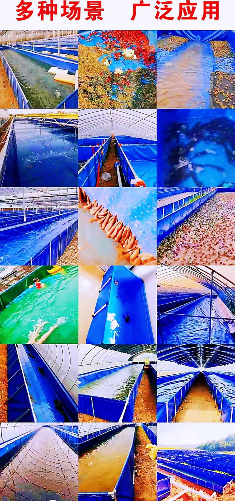 养殖帆布水池大棚鱼池加厚刀刮布水池水蛭龙虾对虾锦鲤鱼水箱