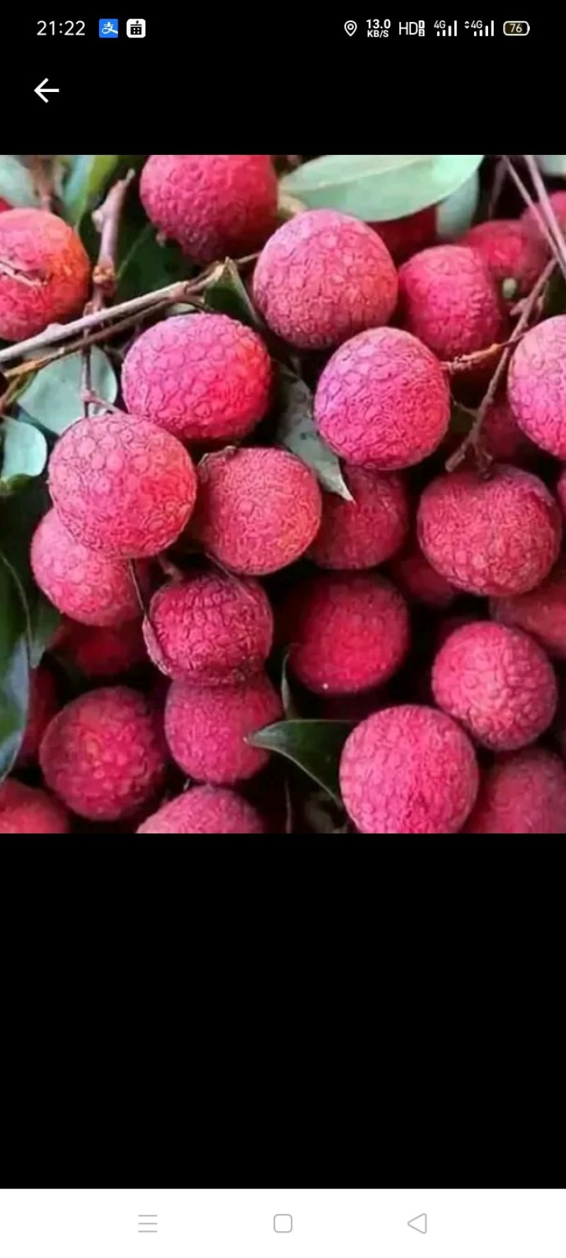 禾荔（六月红）
