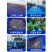 养殖帆布水池大棚鱼池加厚刀刮布水池水蛭龙虾对虾锦鲤鱼水箱