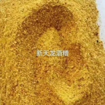 DDGS玉米酒糟装车发走全国发货，诚信经营。