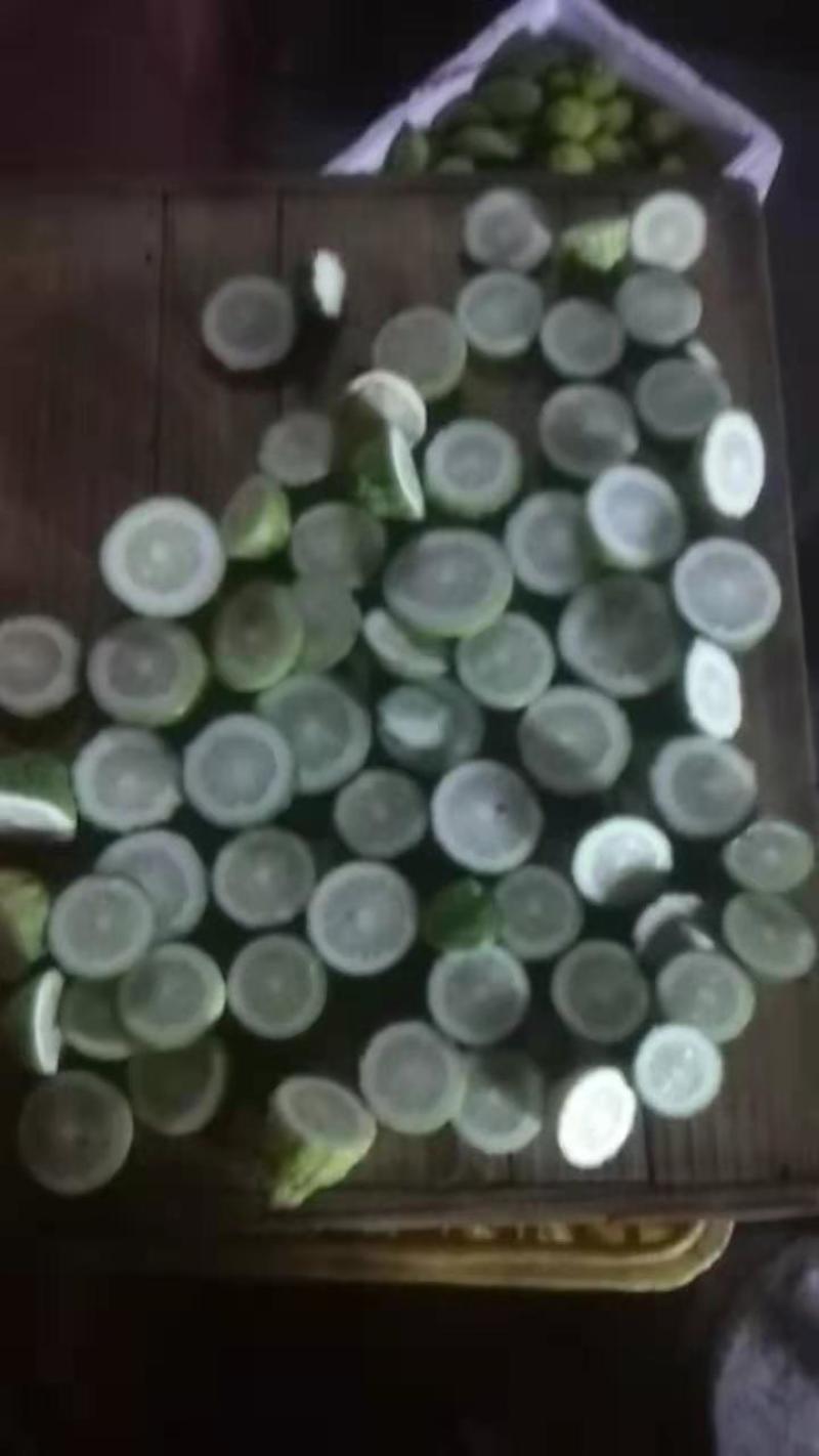 广东四季香水柠檬一级果