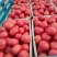赤峰基地直供硬粉西红柿量大色泽好产地直销