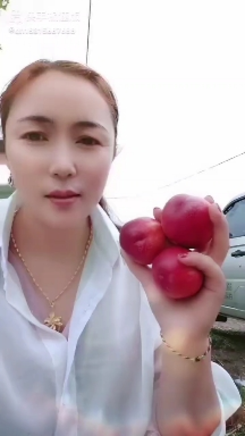 暖棚油桃产地大量上市，口感脆甜！各头均匀！表光好！