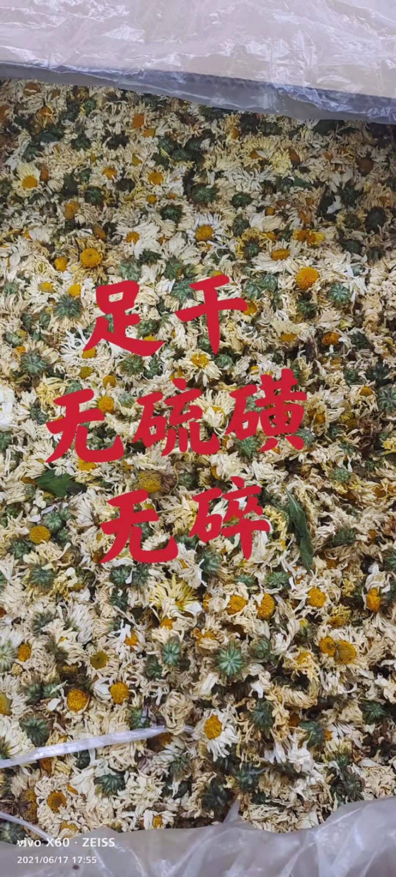 白菊花、杭菊、7月新货、足干无硫磺、大货批发包邮
