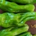 大量供应辣椒豆角量大从优