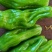 大量供应辣椒豆角量大从优