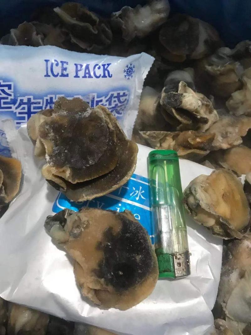 香螺肉新鲜现剥玉螺肉沙螺肉海螺肉20斤装