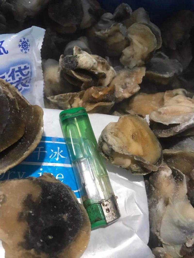 香螺肉新鲜现剥玉螺肉沙螺肉海螺肉20斤装