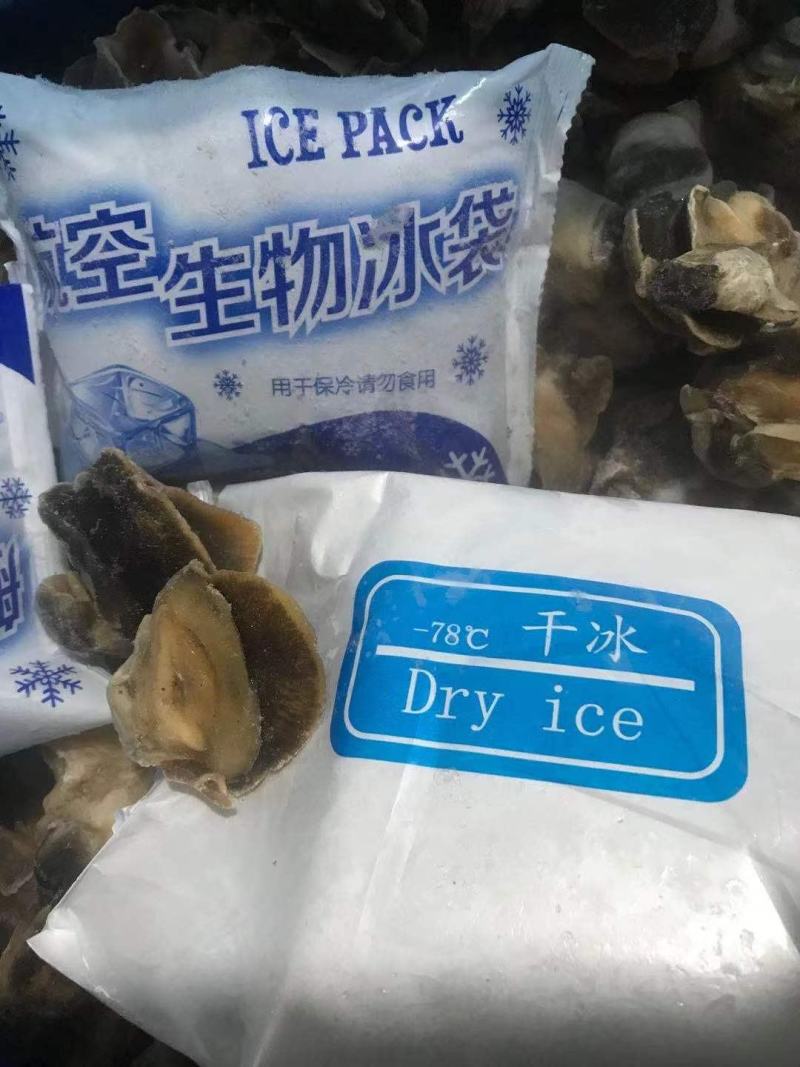 香螺肉新鲜现剥玉螺肉沙螺肉海螺肉20斤装