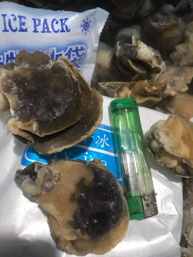 香螺肉新鲜现剥玉螺肉沙螺肉海螺肉20斤装