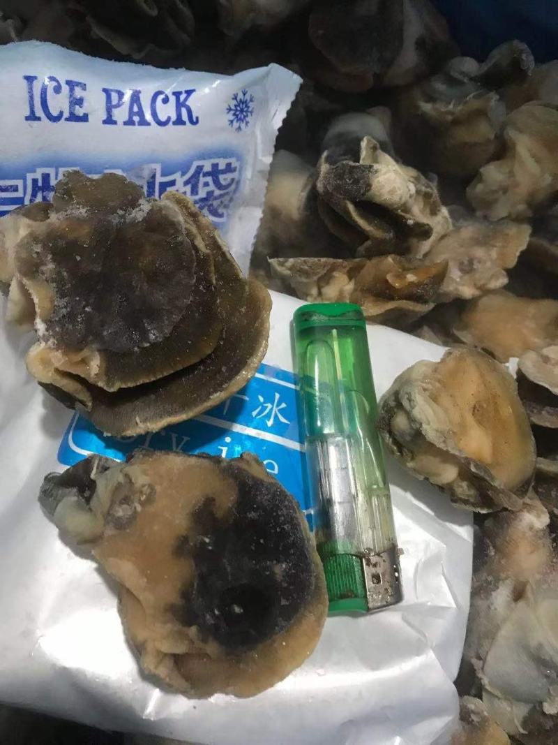 香螺肉新鲜现剥玉螺肉沙螺肉海螺肉20斤装
