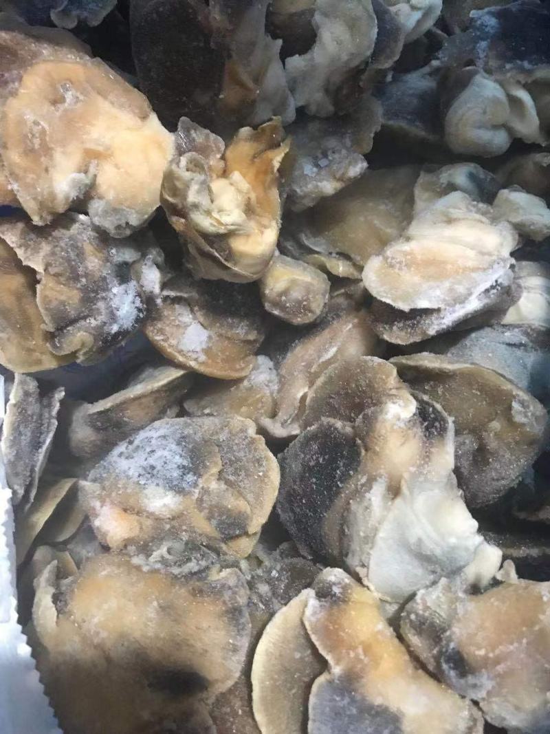 香螺肉新鲜现剥玉螺肉沙螺肉海螺肉20斤装