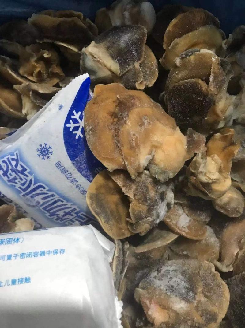 香螺肉新鲜现剥玉螺肉沙螺肉海螺肉20斤装