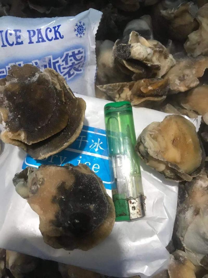 香螺肉新鲜现剥玉螺肉沙螺肉海螺肉20斤装