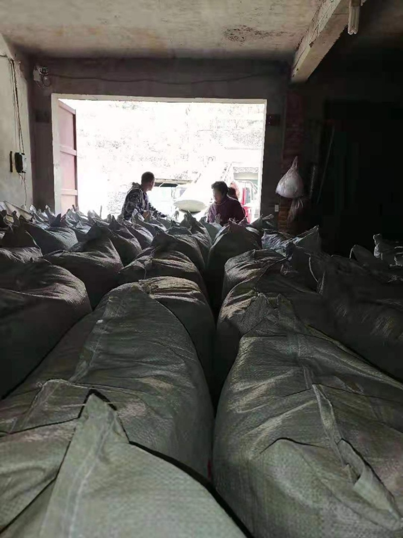 韩城大红袍花椒质量好品种全欢迎您的光临惠顾