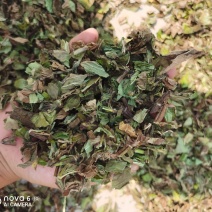 薄荷