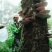 【推荐】灵芝海拔2000多米的松杉灵芝泡水泡酒喝营养丰富