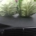 甘蓝类，精品(兰州货)大量有货，欢迎联系