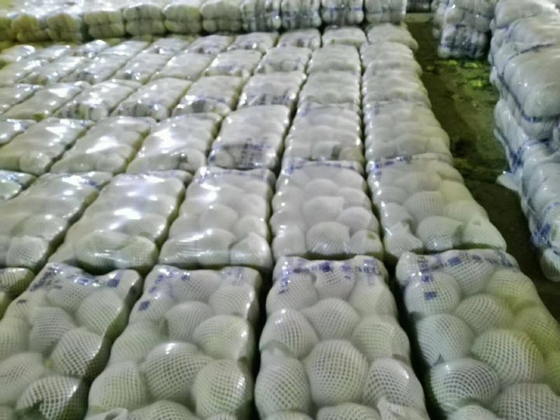 甘蓝类，精品(兰州货)大量有货，欢迎联系