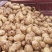 早熟白心土豆冀张薯2263两以上无虫眼无青头基货