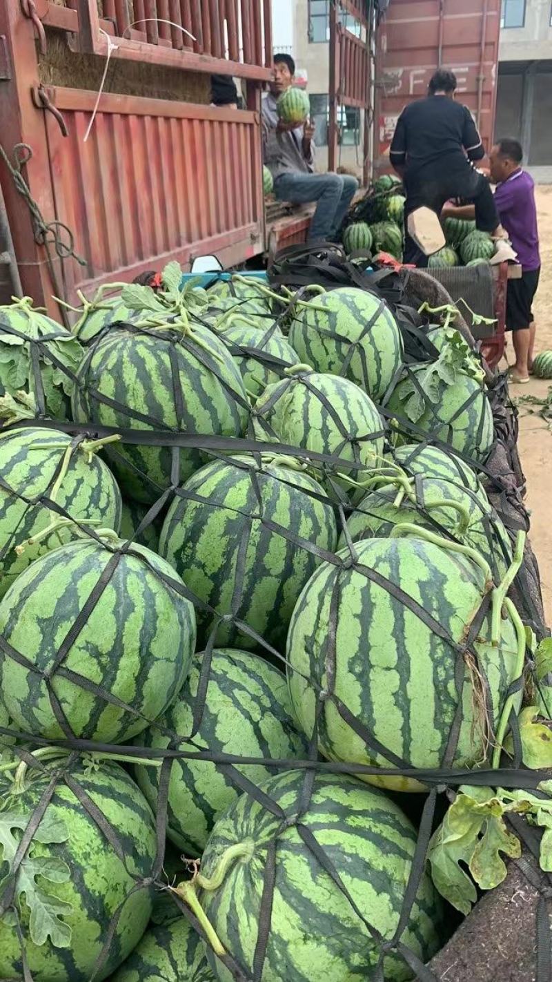 开封祥符区，精品美都西瓜大量上市诚信经营欢迎合作