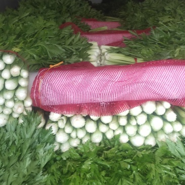 芹菜质量很好