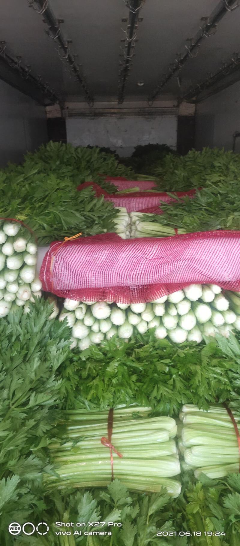 芹菜质量很好