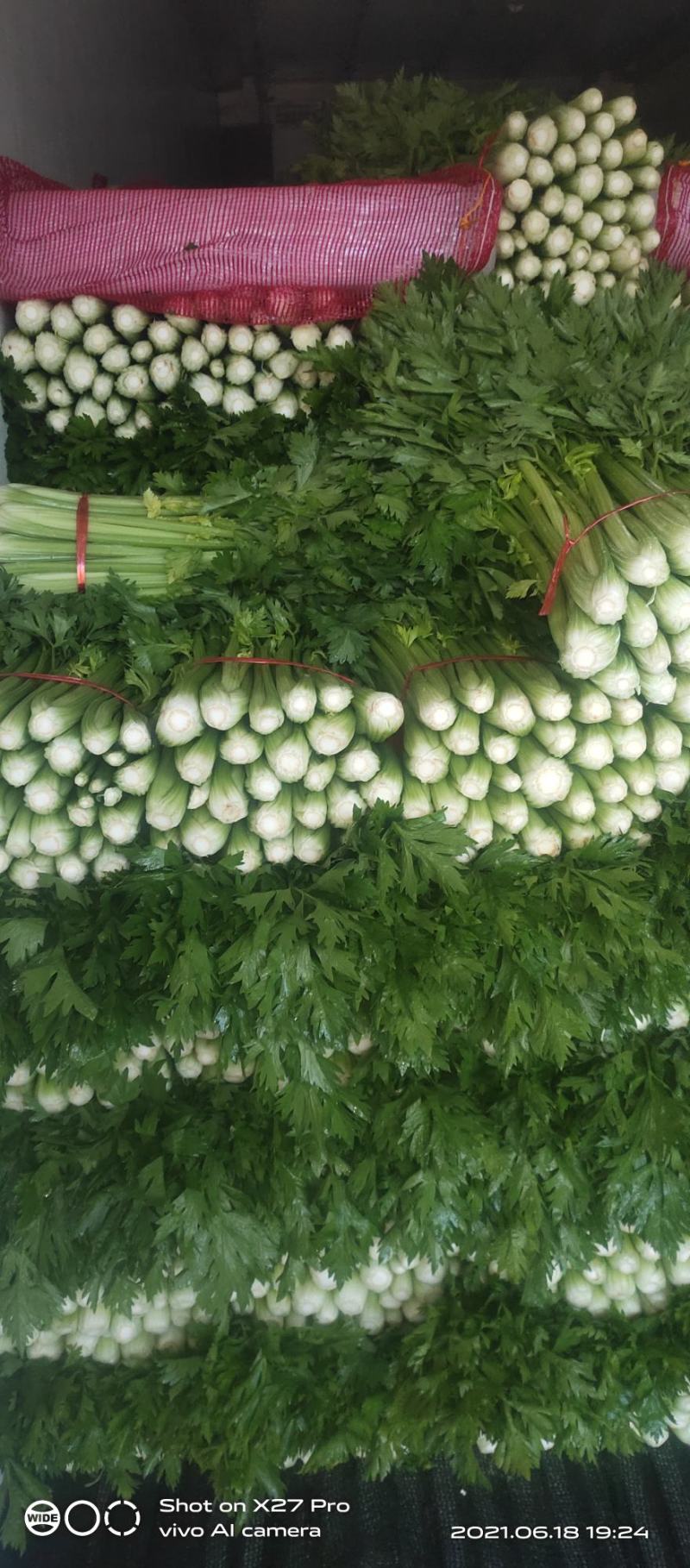 芹菜质量很好