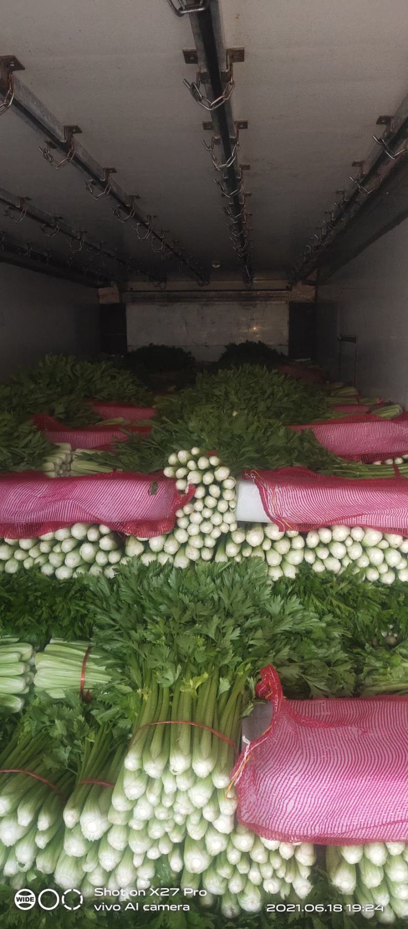 芹菜质量很好