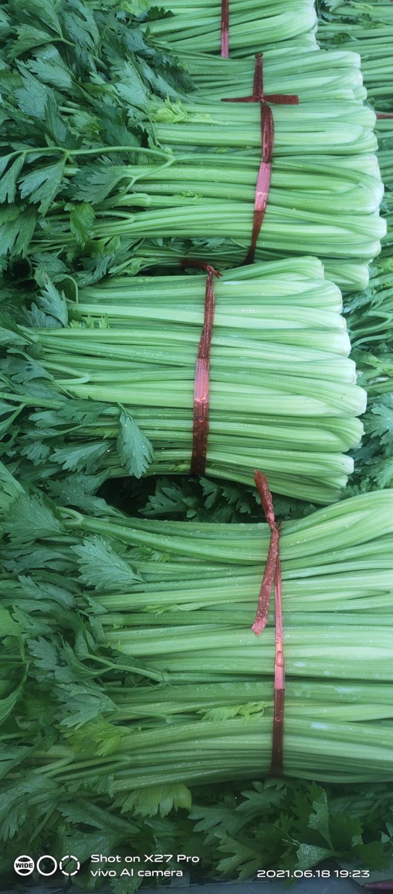芹菜质量很好