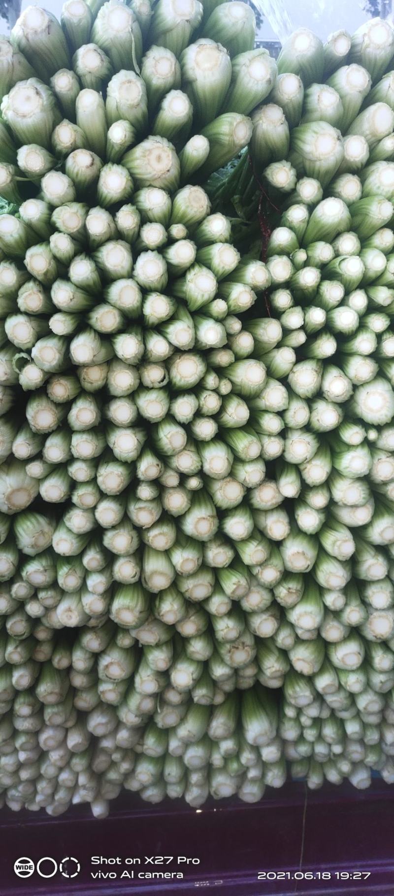 芹菜质量很好