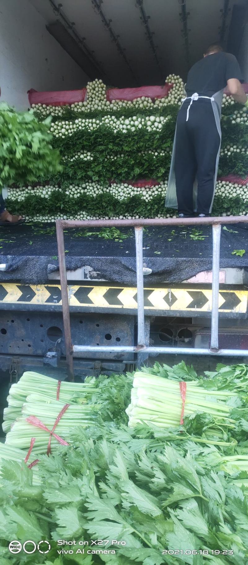 芹菜质量很好