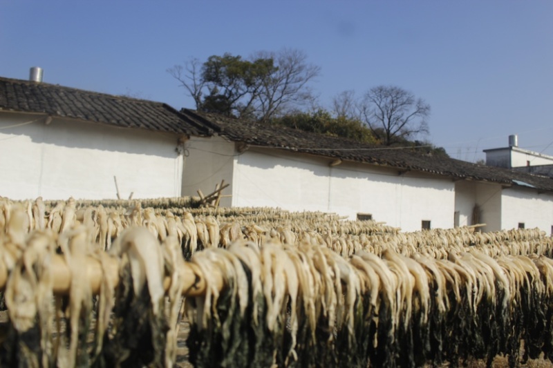 广东白菜干自产自销干净无沙农家自产煲汤料/汤料好物