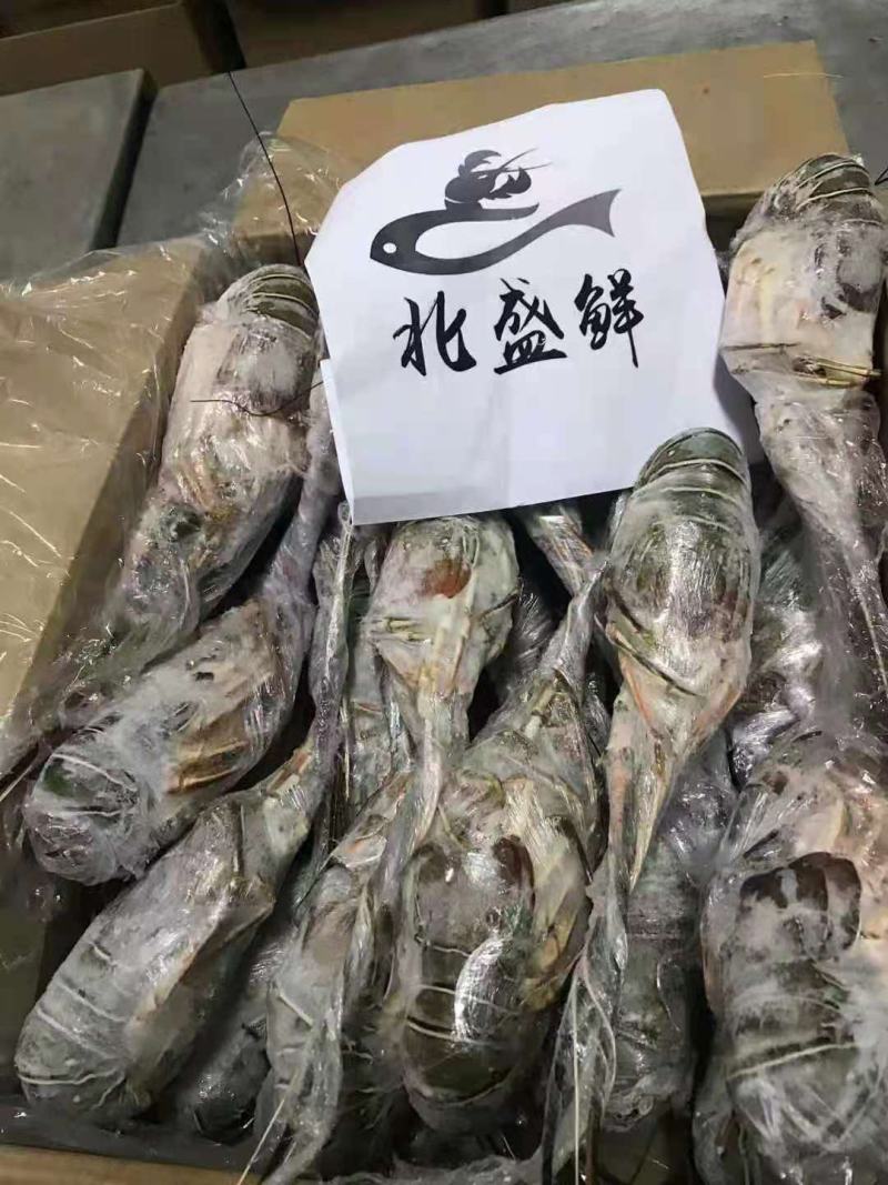 毛塔尼亚刺身级别小青龙、100-200、200-300、