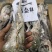 毛塔尼亚刺身级别小青龙、100-200、200-300、