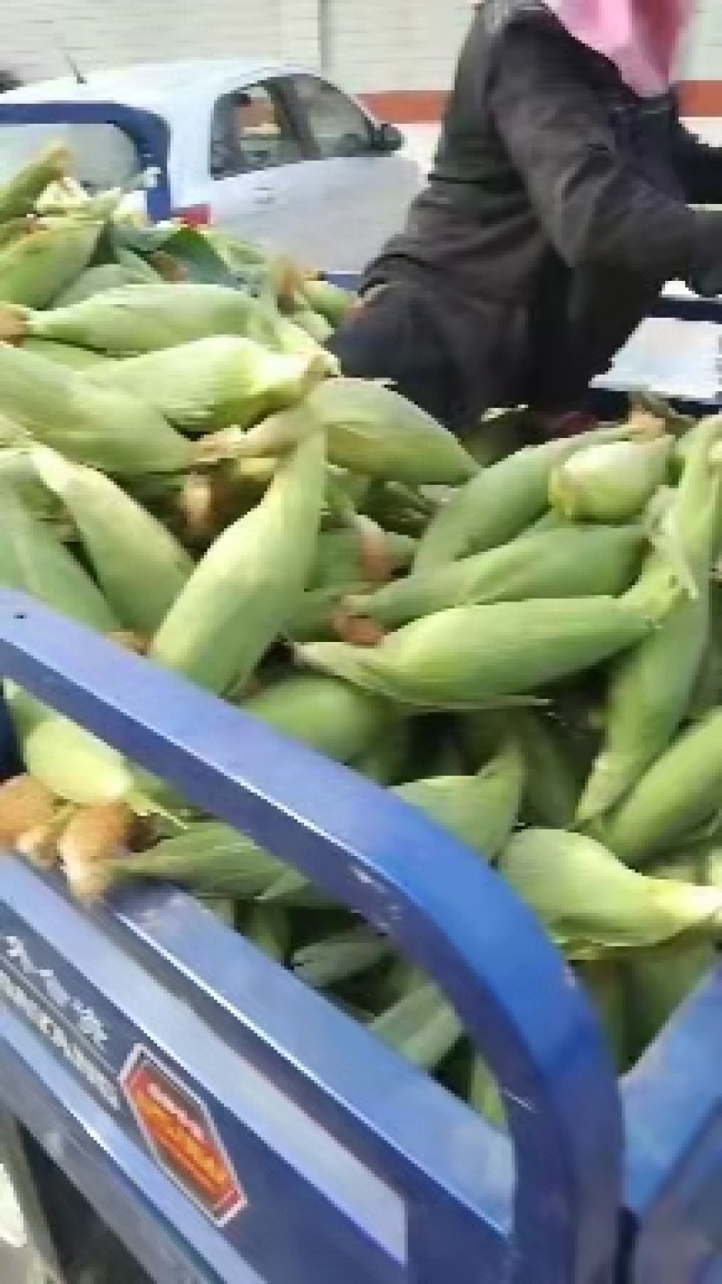 玉米