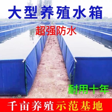 养殖帆布水池大棚鱼池加厚刀刮布水池水蛭龙虾对虾锦鲤鱼水箱