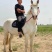 国产改良骑乘马驼东西的马