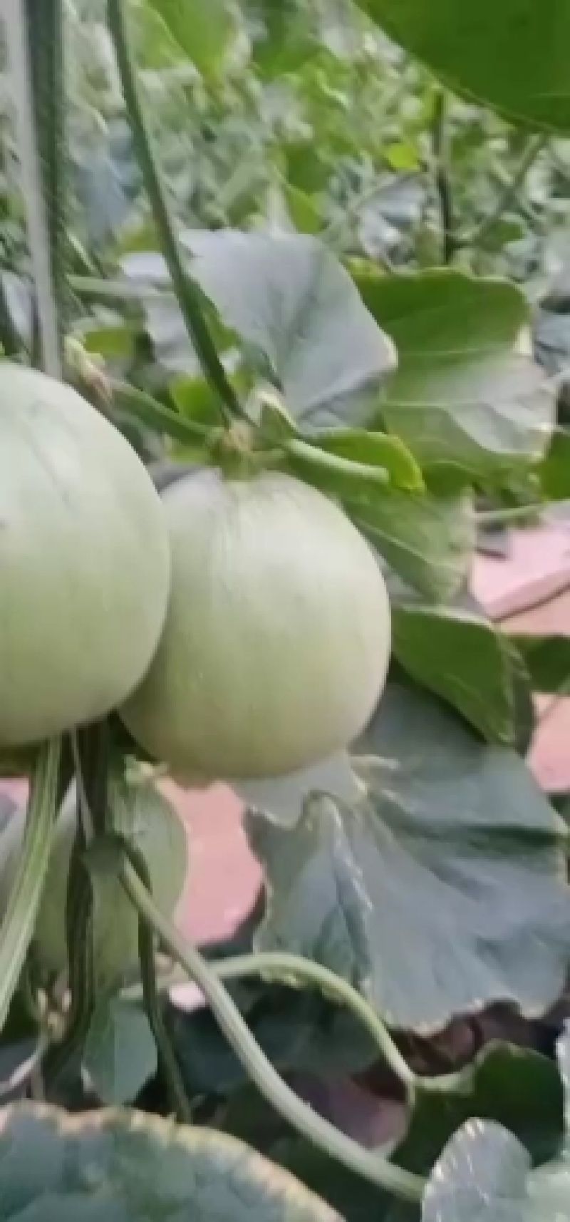 价格合理，诚信经营
