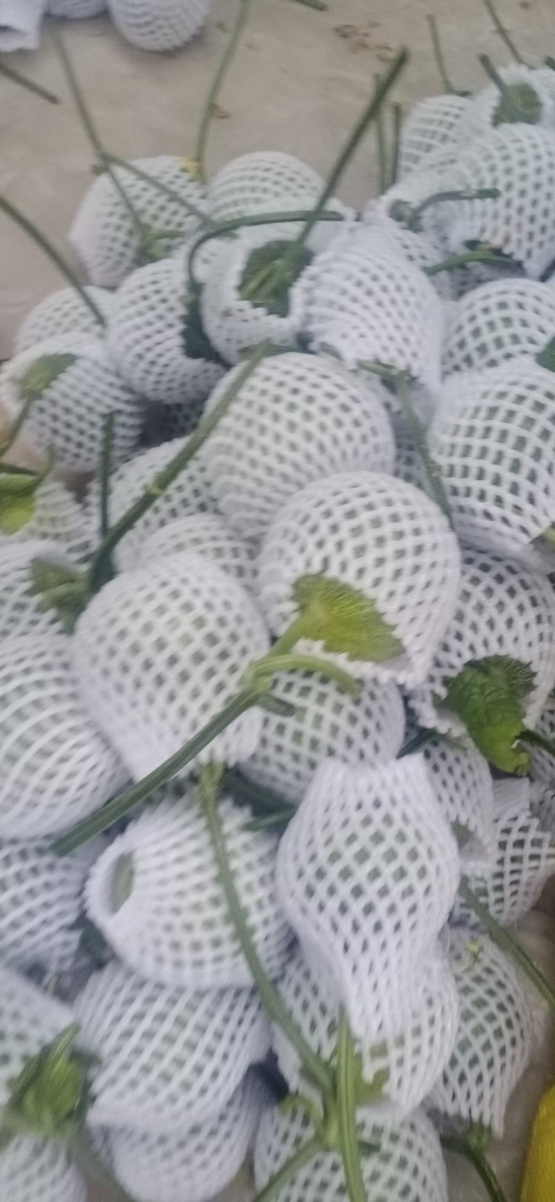 价格合理，诚信经营