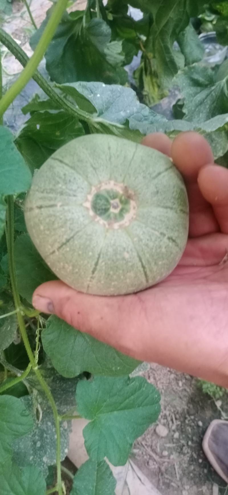价格合理，诚信经营