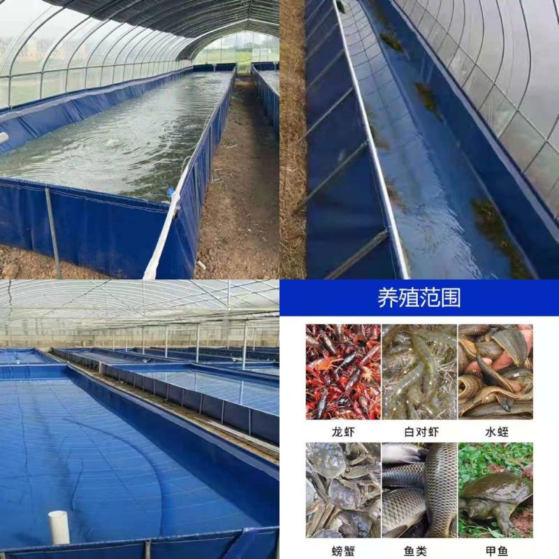 养殖帆布水池大棚鱼池加厚刀刮布水池水蛭龙虾对虾锦鲤鱼水箱